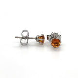 Concept Earring