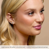14K Yellow Gold 1/4 CTW Natural Diamond Cocktail-Style Earrings