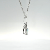 Sterling Silver Necklaces/Pendant