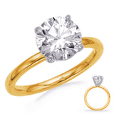 White & Yellow  Gold Engagement