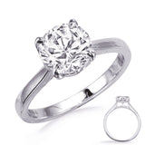 White Gold Engagement Ring