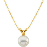 Pearl Necklace