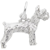 SCHNAUZER