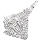 CONCH SHELL
