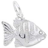 ANGELFISH