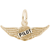 PILOT'S WINGS