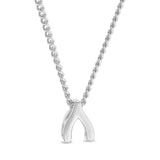 Story Pendant - Wishbone