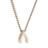 Story Pendant - Wishbone
