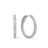 14 KT Rounds Shape White Gold Diamond Earring