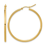 Gold Earring