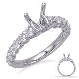 14 Kt White Gold Side Stone - Prong Set Engagement Rings