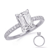 14 Kt White Gold Halo - Hidden Engagement Rings