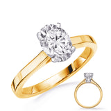 14 Kt Yellow & White Gold Halo - Hidden Engagement Rings