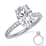 14 Kt White Gold Halo - Hidden Engagement Rings