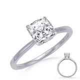 14 Kt White Gold Halo - Hidden Engagement Rings