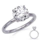 14 Kt White Gold Halo - Hidden Engagement Rings