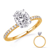 14 Kt Yellow & White Gold Halo - Hidden Engagement Rings